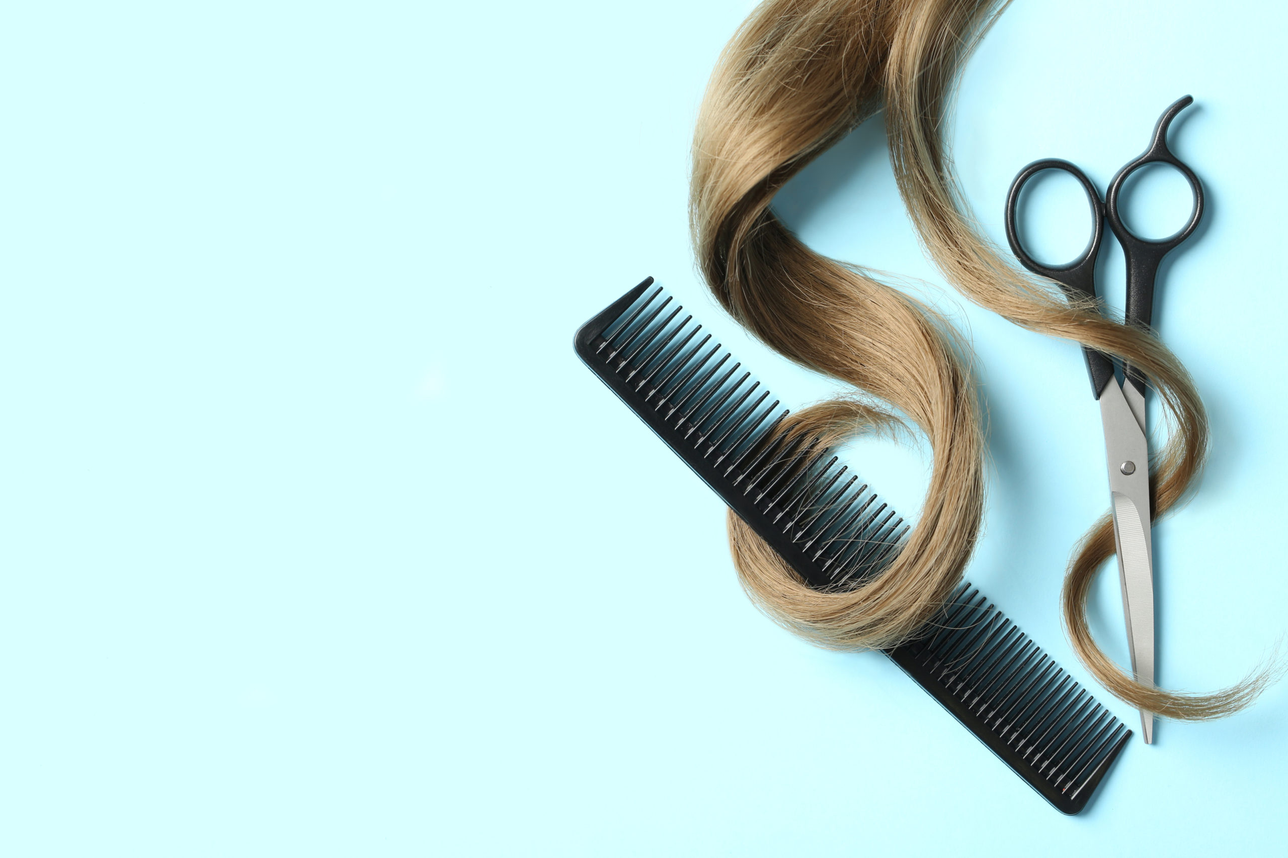 Cut
